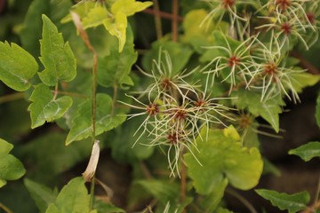 Une balade en campagne