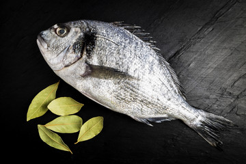 Dorada fresh fish next to bay leaves on a black slate table prepared for cooking
