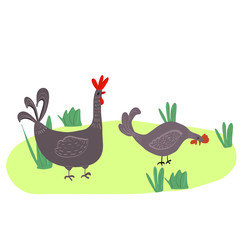 Happy hen cartoon character in different poses isolated. Hen and rooster vector flat illustration. Cute and funny colorful set 