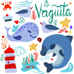 vaquita marina vector illustration