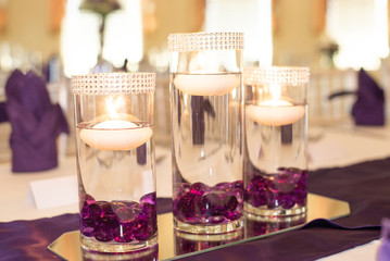 Three Water Candles purple flowers
