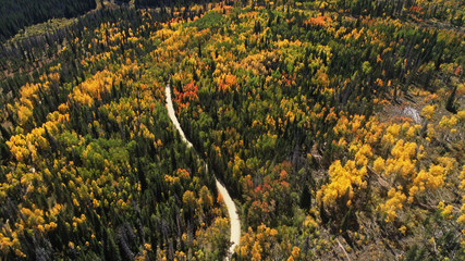 Aerial view of the autumn fall weather bringing in the changing colors of the aspen tree leaves in the Colorado mountains