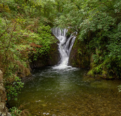 Fototapeta premium Hidden Waterfall