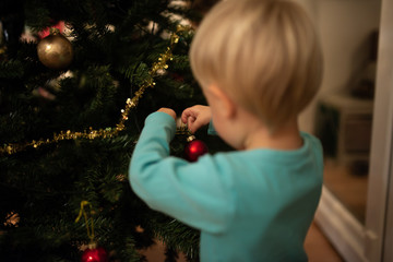 Boy hanging a red Christmas bauble on a holiday tree