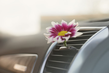 car air conditioner freshness