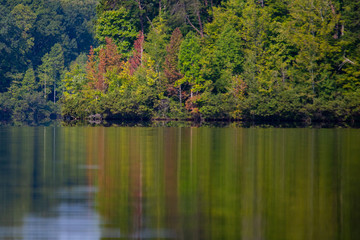Autumn Trees Reflecting Over Lake
