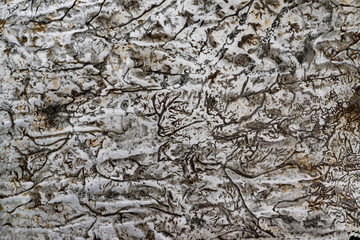 Texture of old machined metal steel, abstract background

