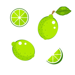 Lime with green leaves and slices isolated on white vector.