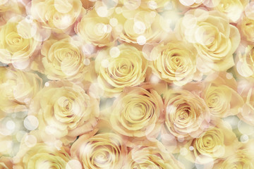 Beautiful, delicate yellow roses.