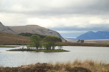 Fototapeta na wymiar Schottland Landschaft Idylle