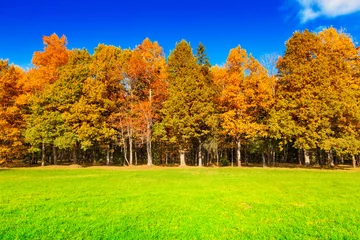 Gardinen Herbstlandschaft © adisa