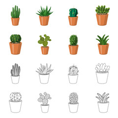 Isolated object of cactus and pot sign. Set of cactus and cacti stock symbol for web.