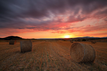 amazing sunset over a field at harvest time (Alava, Basque Country)