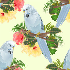 Seamless texture bird Budgerigar, home pet ,blue pet parakeet  on a branch bouquet with tropical flowers hibiscus, palm,philodendron vintage vector illustration editable hand draw
