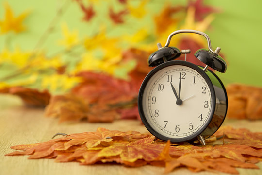 Autumn Black clock leaves