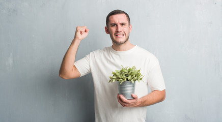 Young caucasian man over grey grunge wall holding plant pot annoyed and frustrated shouting with anger, crazy and yelling with raised hand, anger concept