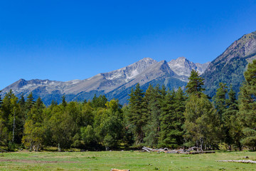 Fototapeta na wymiar Arkhyz, mountains in summer