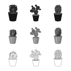 Isolated object of cactus and pot logo. Collection of cactus and cacti stock vector illustration.