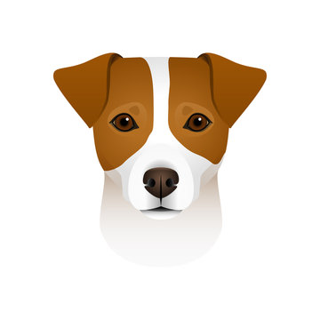 Isolated colorful head and face of jack russell terrier on white background. Flat cartoon breed dog portrait.