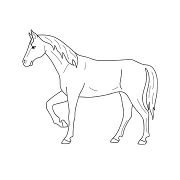 Isolated black outline standing horse on white background. Side view. Curve lines. Page of coloring book.