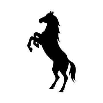 Isolated black silhouette of rearing horse on white background. Side view.