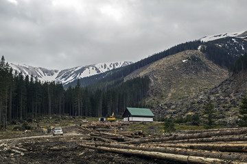 High Tatras disaster 