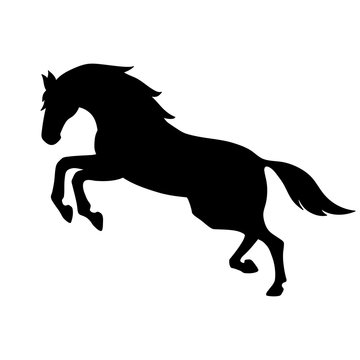 Isolated black silhouette of galloping, jumping horse on white background. Side view.