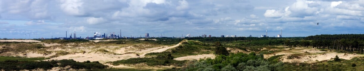 Dünenlandschaft am Hafen