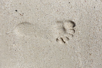 footprint in the sand