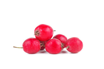 Hawthorn berries isolated on white background