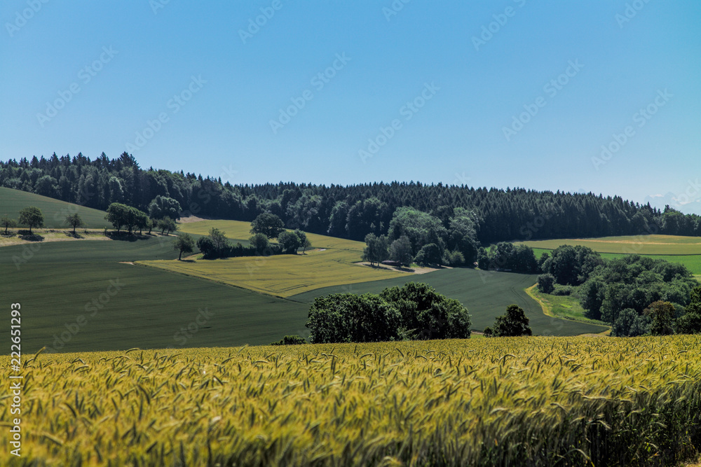 Wall mural Paysage vaudois#2