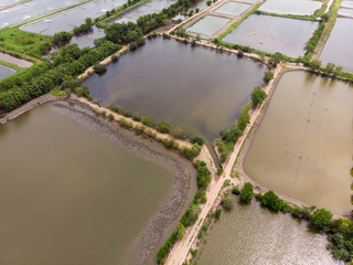 Shrimp farm in Chanthaburi, Thailand