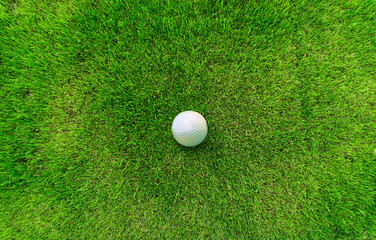 Golf Ball Lying on Green Grass View from Above