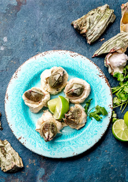 SEAFOOD PICOROCO. Prepared picoroco, Austromegabalanus psittacus, the giant barnacle or picoroco. Chilean and peruvian cost seafood.