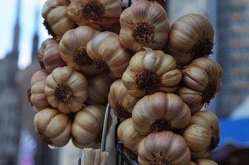 bundle of garlic bulbs at market