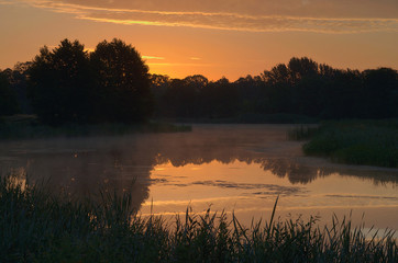 Fototapeta premium Poranek nad starorzeczem