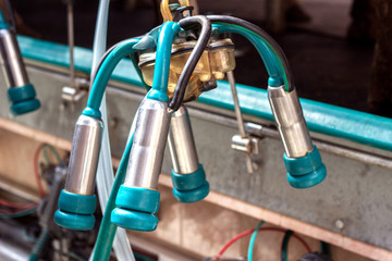 Modern new equipment for automatic milking of cow milk, close-up, facilities