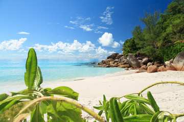 Seychelles Beach with white Sand and blue water