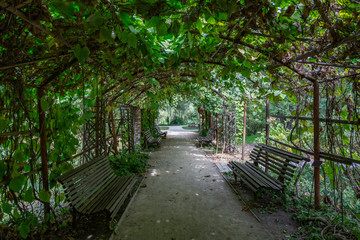 A path for walking pedestrians in a modern green city park
