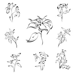 stylized flowers in black lines on a white background. SET