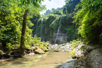 waterfall with greener forest