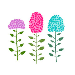 Hydrangea flower, sketch for your design