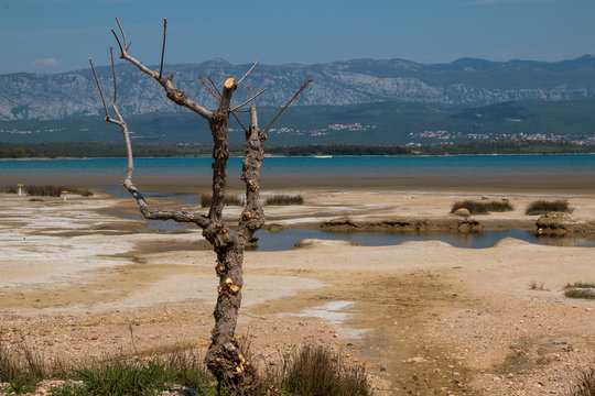 Coast of Adriatic sea, island Krk, Croatia