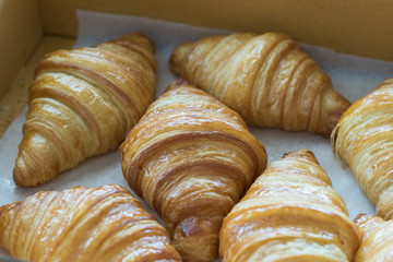 fresh croissants in cardboard box from top view.