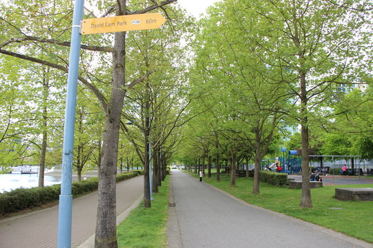 David Lam Park - Vancouver