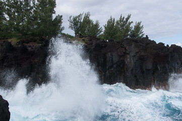waterfall in the forest