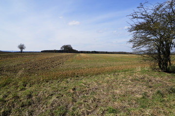 Obraz premium Herbstlandschaft, Acker, weites Feld mit Bueschen und blauem Himmel, Autumn landscape, field, wide field with bushes and blue sky