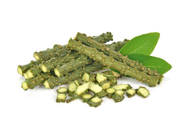 Tinospora cordifolia isolated on white  background