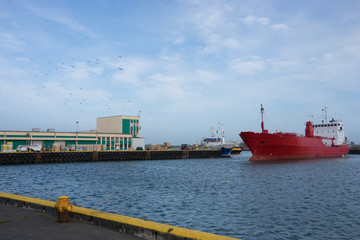 Hafen von H&ouml;fn (Hummerhauptstadt) in Hornafj&ouml;r&eth;ur, Island