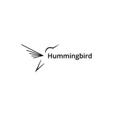 hummingbird logo. vector design